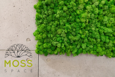 Техническая поддержка mossspace.ru