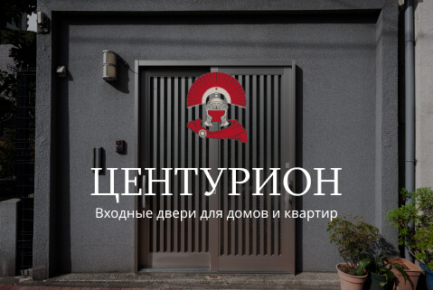 Техническая поддержка сайта centurion-door.ru